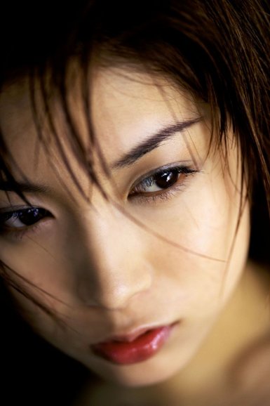 hth华体登录入口